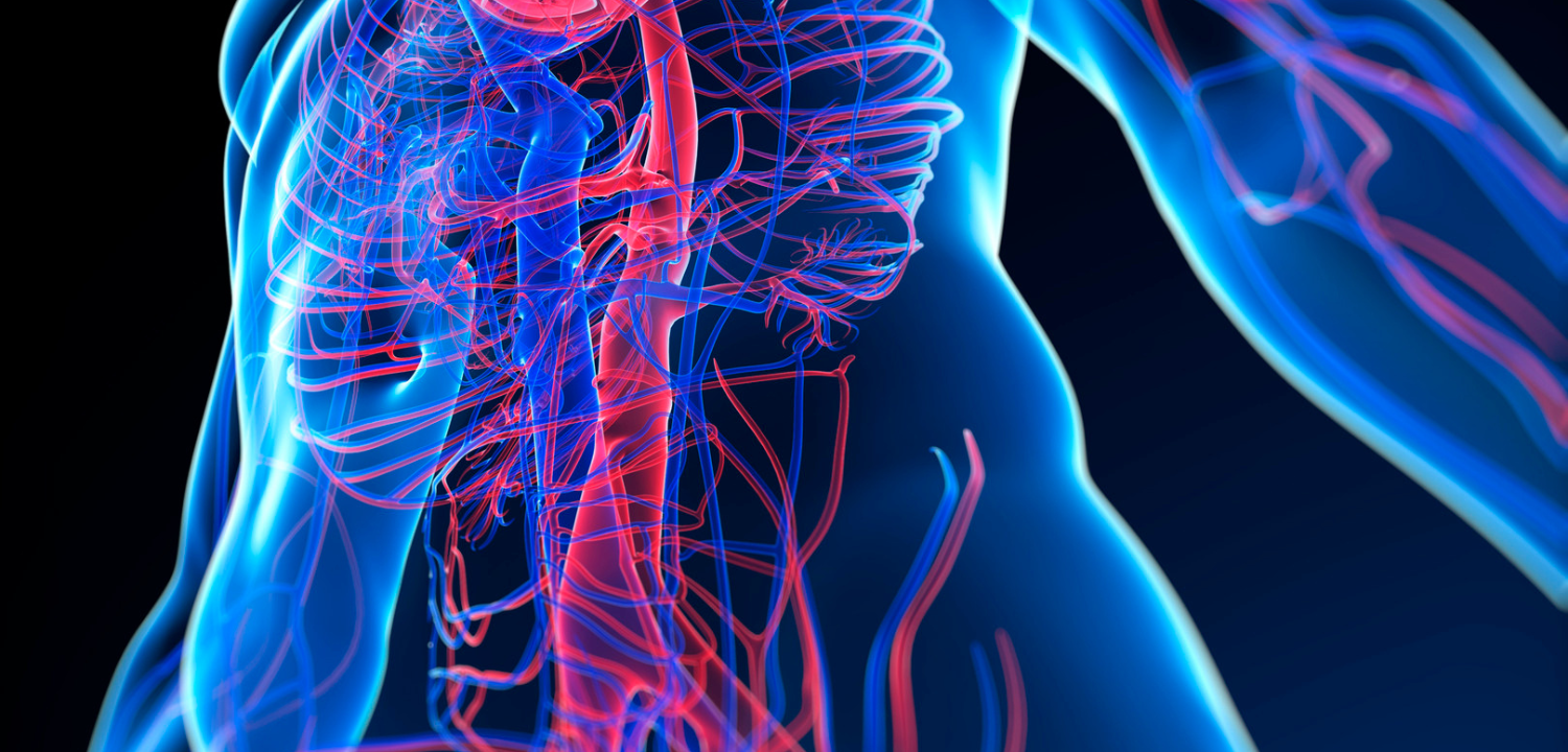 CIRCULATORY PROBLEMS The London Road Osteopathy Clinic
